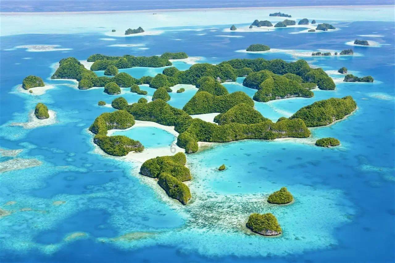 天下HD